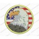 Bald Eagle Flag USA Patriotic Embroidery Design in 4x4 and 5x7 Sizes