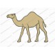 Camel Basic Hump Embroidery Design in 3x3 4x4 and 5x7 Sizes