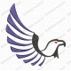 Eagle Wing Embroidery Design in mini 2x2 3x3 4x4 and 5x7 Sizes