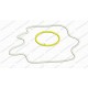 Eggs Sunny Side Up Applique Embroidery Design in 3x3 4x4 and 5x7 Sizes