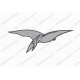 Pterodactyl Bird Dinosaur Embroidery Design in 2x2 3x3 4x4 and 5x7 Sizes