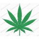 Marijuana Cannabis Leaf Embroidery Design in 2x2 3x3 4x4 and 5x7 Sizes